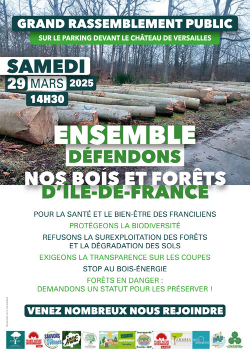 Affiche-d